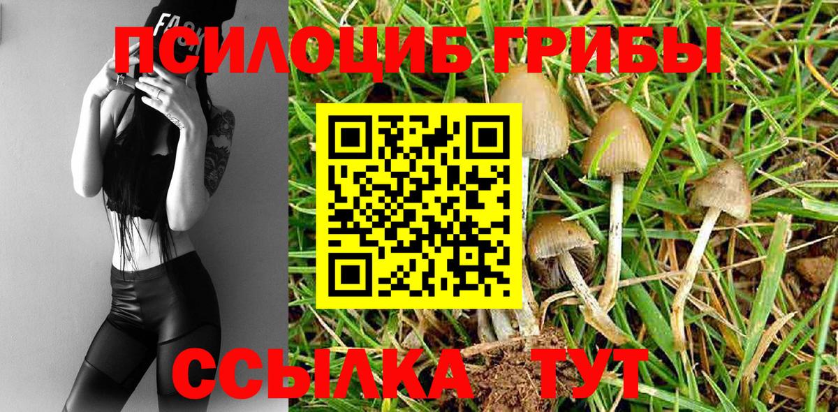 Псилоцибиновые грибы ЛСД Тосно