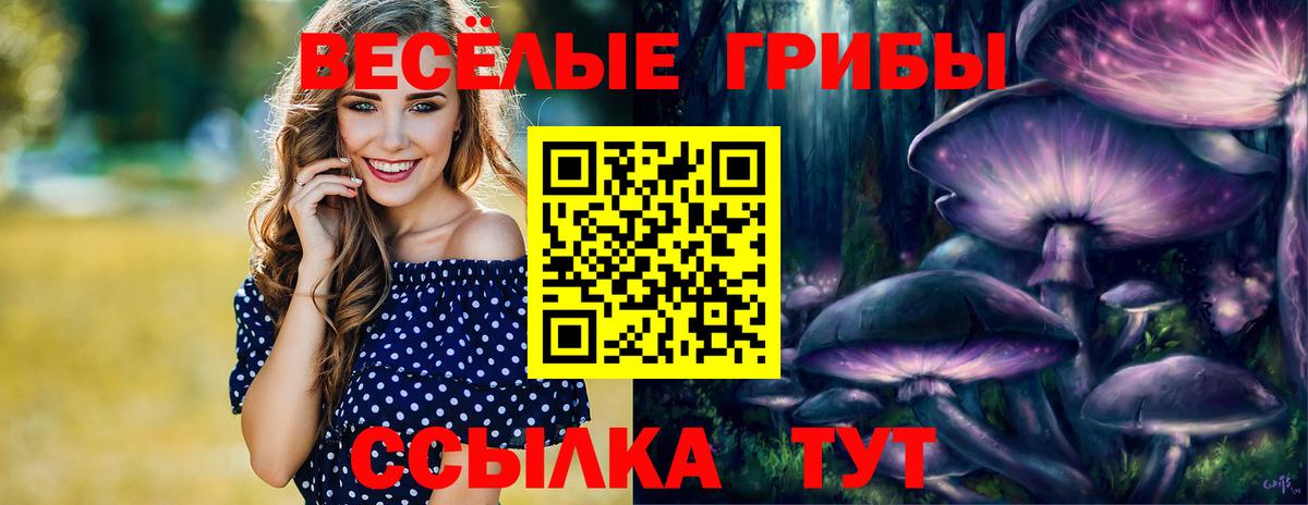 закладки  Галлюциногенные грибы мицелий  Вход с VPN  Тосно 